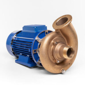 Pumpe 2,6 kw inck. vådende i bronze