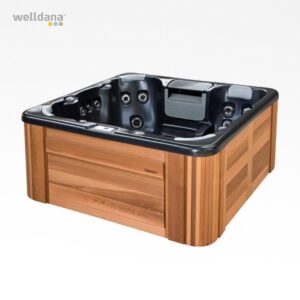 Reservedele  til Comfortana Pro I